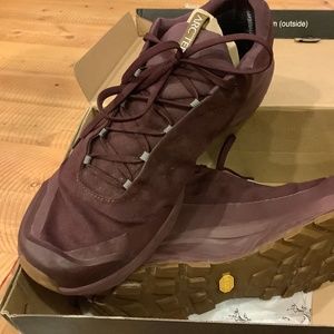 Arcteryx aerios fl gtx 10.5 mens rhapsody caribou